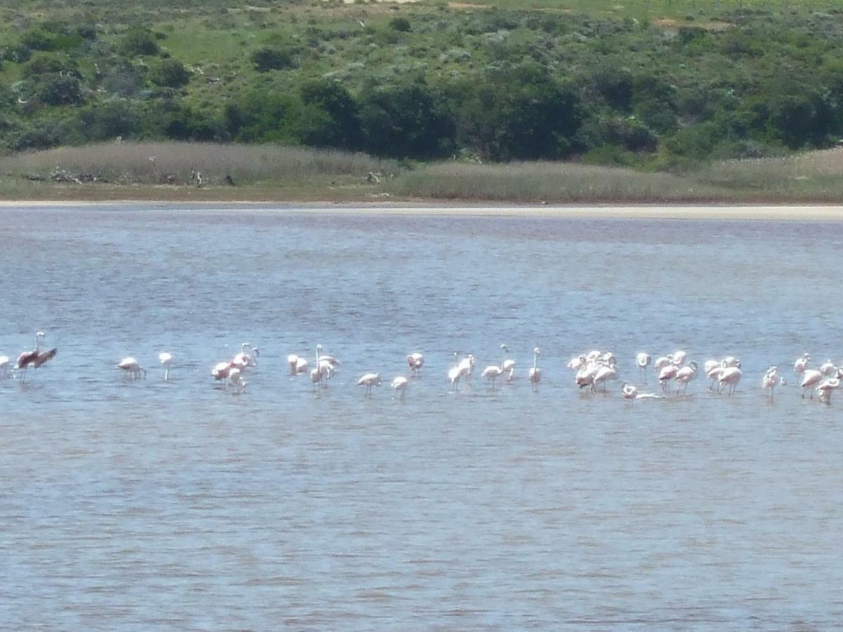 Lagoon'S Edge Fisherhaven Εξωτερικό φωτογραφία